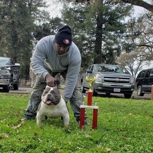 Meet your Posher, Maurice